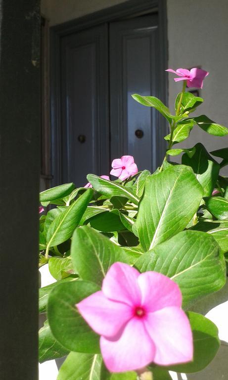 Gli Dei E Le Rose Holiday home Agerola